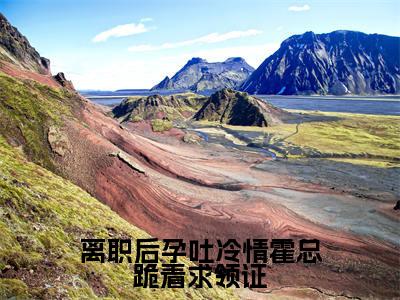 离职后孕吐冷情霍总跪着求领证全文免费无弹窗大结局_霍闻璟姜鲤免费离职后孕吐冷情霍总跪着求领证最新章节列表_笔趣阁