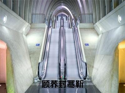 顾荞封寒靳（顾荞封寒靳）小说全文免费阅读大结局-顾荞封寒靳免费阅读无弹窗大结局