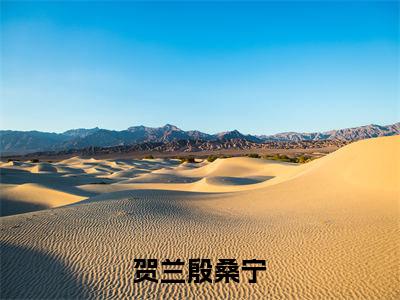 桑宁贺兰殷（桑宁贺兰殷）小说全文免费阅读正版无弹窗_贺兰殷桑宁小说免费阅读全文无弹窗_笔趣阁
