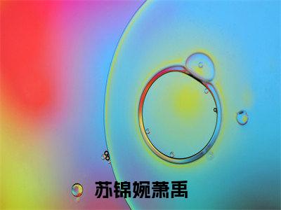 小说（苏锦婉萧禹）_苏锦婉萧禹全文阅读_苏锦婉萧禹免费阅读大结局
