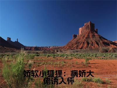 主人公叫（沈天冥师岁岁）的小说（娇软小狐狸：病娇大佬诱入怀）免费阅读最新章节列表_笔趣阁