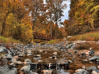 秦沐瑶贺秋渡免费阅读无弹窗大结局，贺秋渡秦沐瑶最新章节