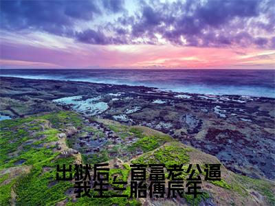 出狱后，首富老公逼我生三胎傅辰年（傅辰年宋欢）全文免费阅读-小说出狱后，首富老公逼我生三胎傅辰年大结