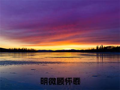 明微顾怀羲（明微顾怀羲）最新章节在线阅读-老书虫推荐明微顾怀羲小说