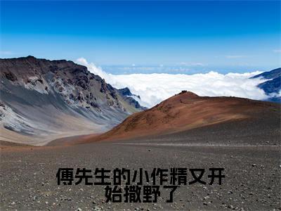 傅先生的小作精又开始撒野了小说傅君辞苏慕晚大结局-精彩美文傅君辞苏慕晚免费阅读