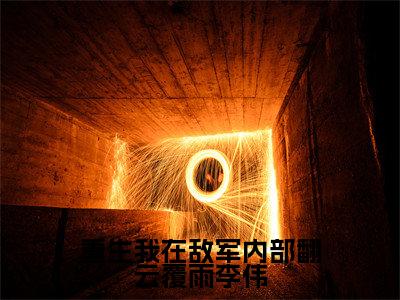 重生我在敌军内部翻云覆雨李伟李伟小说结局-重生我在敌军内部翻云覆雨李伟全文无弹窗阅读