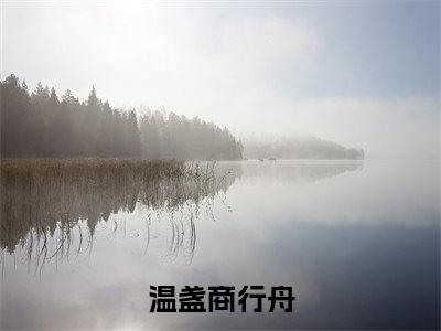 温盏商行舟免费小说（温盏商行舟）全文无弹窗阅读 温盏商行舟大结局免费阅读无弹窗