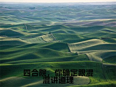 四合院，你确定跟混混讲道理（王宝宇）全文免费阅读_四合院，你确定跟混混讲道理（王宝宇）最新章节小说免费阅读