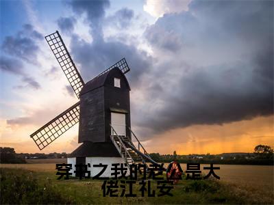 喻灵微江礼安（穿书之我的老公是大佬江礼安）完整全文在线阅读_穿书之我的老公是大佬江礼安小说全章节目录阅读（喻灵微江礼安）