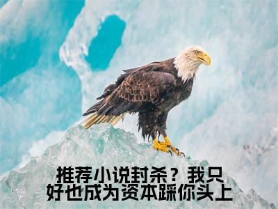 封杀？我只好也成为资本踩你头上（ 叶川韦霜）全文免费阅读无弹窗大结局_封杀？我只好也成为资本踩你头上最新章节列表