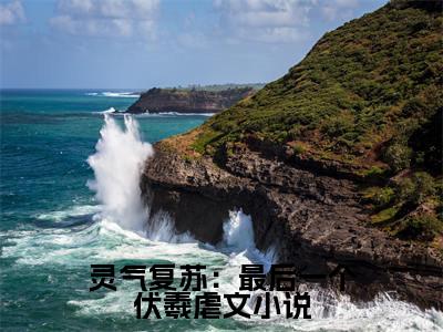  伏羲伏羲小说（灵气复苏：最后一个伏羲）全文免费阅读无弹窗大结局_（ 伏羲伏羲）小说章节列表（灵气复苏：最后一个伏羲）