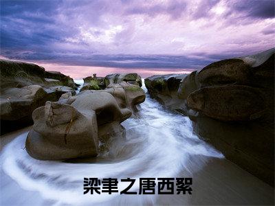 （唐西絮梁聿之）全文免费阅读 梁聿之唐西絮言情小说讲的是什么