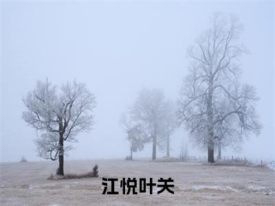 江悦叶关（叶关江悦）全文免费阅读无弹窗大结局_江悦叶关免费阅读无弹窗最新章节列表_笔趣阁