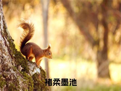 褚柔墨池（褚柔墨池）全文免费阅读_（褚柔墨池）褚柔墨池最新章节小说免费阅读_笔趣阁