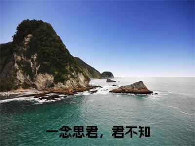 一念思君，君不知(沈念秋萧云成）小说全文免费读无弹窗大结局_一念思君，君不知小说章节试读最新章节列表笔趣阁