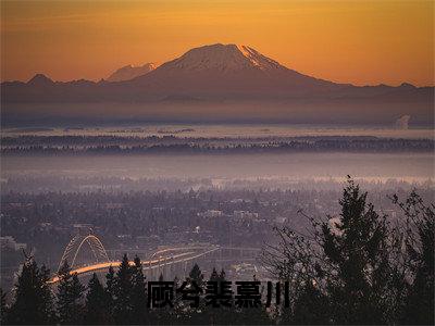 顾兮裴慕川（顾兮裴慕川）快手热推小说主角顾兮裴慕川完整版在线阅读