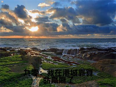 九零：我在港城靠算命赢麻了（林知闲）小说最新章节-小说九零：我在港城靠算命赢麻了（林知闲）完整版全文在线赏析