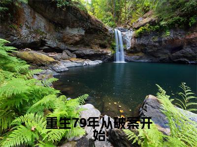 重生79年从破案开始（ 刘一鸣何冰冰）爽文小说全文阅读-重生79年从破案开始最新章节更新