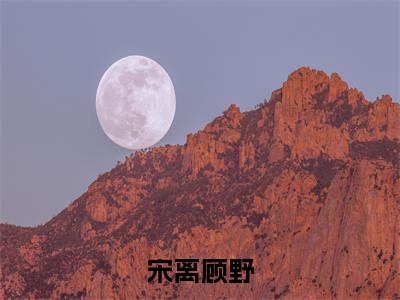 宋离顾野（宋离顾野）免费小说-（宋离顾野）完结版在线阅读