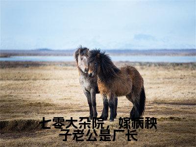 七零大杂院，嫁病秧子老公是厂长（盛启晖苏舸）热门小说盘点在线阅读-七零大杂院，嫁病秧子老公是厂长小说无弹窗