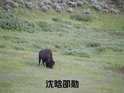 沈晗邵勋（邵勋沈晗）全文免费阅读无弹窗大结局_沈晗邵勋小说全文免费阅读最新章节列表（邵勋沈晗）