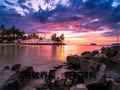 被收养后，哥哥将我宠上了天全文免费阅读无弹窗大结局_许翊许希辞最新章节列表_笔趣阁