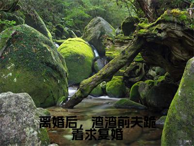 离婚后，渣渣前夫跪着求复婚（喻楚楚沈牧谦）全文免费阅读-(喻楚楚沈牧谦小说)离婚后，渣渣前夫跪着求复婚最新章节列表