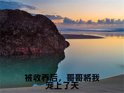 许希辞许翊免费小说（被收养后，哥哥将我宠上了天）全文无弹窗阅读 许希辞许翊大结局免费阅读无弹窗