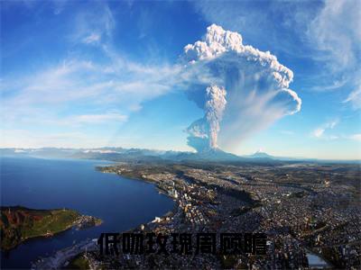 沈城阙周顾瞻小说全文免费阅读_（沈城阙周顾瞻）低吻玫瑰周顾瞻最新章节列表笔趣阁