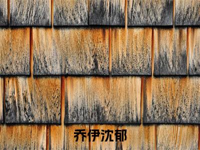 沈郁乔伊的小说主角（乔伊沈郁）免费阅读_乔伊沈郁热搜小说完结版阅读