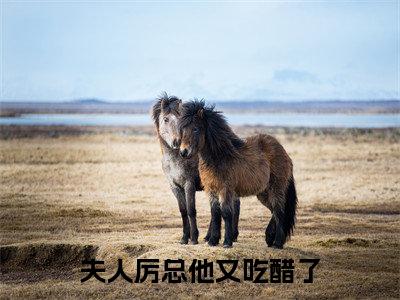 夫人厉总他又吃醋了（唐意欢厉墨衍）全文完整版免费阅读_唐意欢厉墨衍（夫人厉总他又吃醋了全文免费阅读）最新章节列表