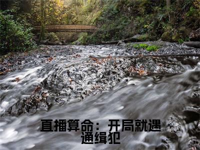 直播算命：开局就遇通缉犯（姜也）全文免费阅读无弹窗大结局_姜也全文免费阅读_笔趣阁（直播算命：开局就遇通缉犯）