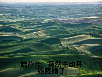 热门小说沈南央陆京衡 全文免费阅读无弹窗大结局-陆营长，竟然主动开始疼她了全文无弹窗免费阅读大结局
