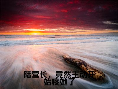 主角为陆京衡沈南央的小说（陆营长，竟然主动开始疼她了）大结局免费阅读-陆营长，竟然主动开始疼她了全文免费阅读笔趣阁