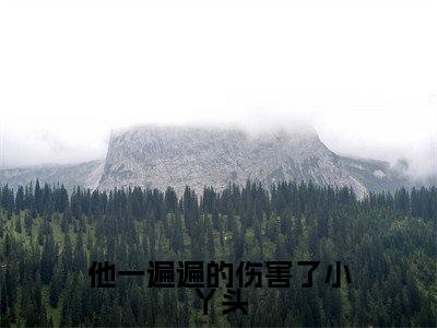 江莱沈照全文免费免费阅读无弹窗最新章节列表_笔趣阁（他一遍遍的伤害了小丫头全文免费）