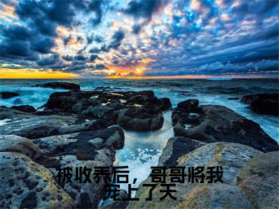 被收养后，哥哥将我宠上了天（许翊许希辞）全文免费阅读无弹窗_许翊许希辞最新小说_笔趣阁