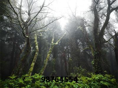顾清衍苏迩（98764554）全文免费阅读无弹窗大结局_顾清衍苏迩98764554最新章节列表_笔趣阁