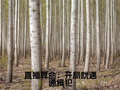 姜也（直播算命：开局就遇通缉犯小说）全文免费阅读无弹窗大结局_(姜也小说)最新章节列表