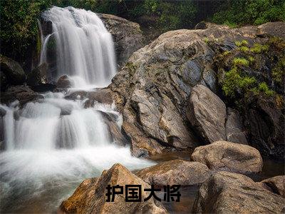 护国大将全集小说完整版大结局_高贺完结版在线阅读