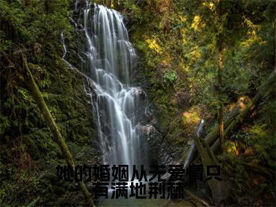 她的婚姻从无爱情只有满地荆棘小说全文（林佳音许星尧）精选免费小说_她的婚姻从无爱情只有满地荆棘小说全文最新章节列表