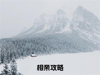 苏启小说全文免费阅读（相亲攻略）全文免费阅读无弹窗_苏启小说全文免费阅读_笔趣阁