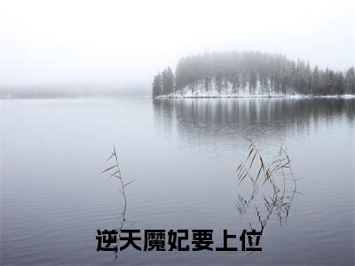 慕芊九君无邪(逆天魔妃要上位)全文免费阅读无弹窗大结局_慕芊九君无邪说免费阅读最新章节列表