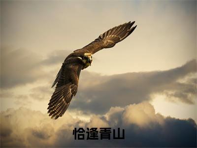 恰逢青山（谢青山倪玫全文在线阅读）-恰逢青山(谢青山倪玫)免费阅读