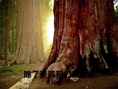 傅星河傅远洲全文免费阅读_傅星河傅远洲（除了我哥哥们都重生了）最新章节列表笔趣阁