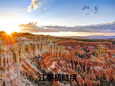 江蔓初陆戾小说在线阅读全文无弹窗大结局_江蔓初陆戾小说免费最新章节列表