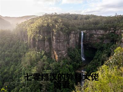 七零糙汉的外科大佬娇妻（沈安安）全文免费阅读_七零糙汉的外科大佬娇妻全文阅读_笔趣阁（沈安安）