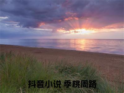 陷进温柔后，他宠上瘾了全文免费阅读无弹窗大结局_（ 季桃周路）陷进温柔后，他宠上瘾了免费阅读无弹窗最新章节列表_笔趣阁