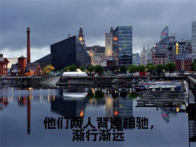 （江知许顾盛晨）他们两人背道相驰，渐行渐远全文免费阅读无弹窗_（他们两人背道相驰，渐行渐远小说免费阅读）最新章节列表笔趣阁