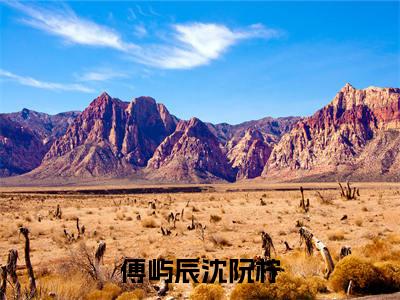 傅屿辰沈阮柠傅屿辰沈阮柠是什么小说-傅屿辰沈阮柠全文免费阅读无弹窗大结局（傅屿辰沈阮柠）最新章节列表在线阅读