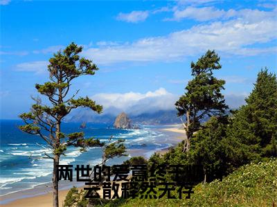 两世的爱意终于烟消云散释然无存（许洛枝梁君泽）全文免费阅读无弹窗大结局_许洛枝梁君泽小说最新章节列表